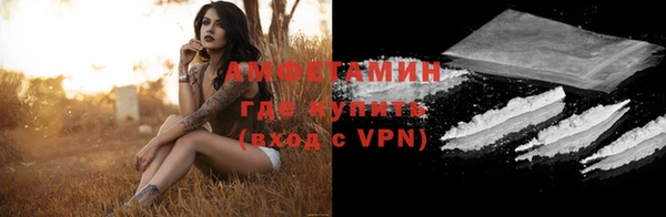 гашик Богданович