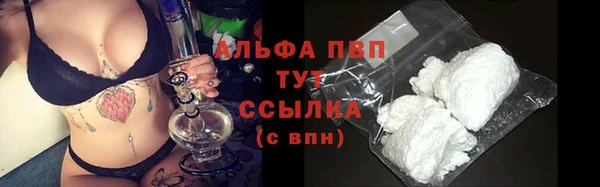 гашик Богданович