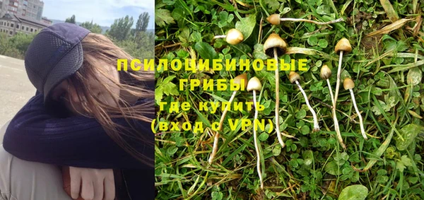 MDMA Premium VHQ Богородицк