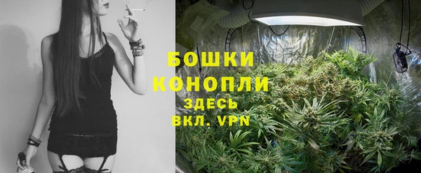 гашик Богданович
