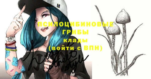гашик Богданович