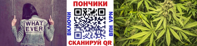 Купить закладки Грайворон Бошки Шишки AK-47